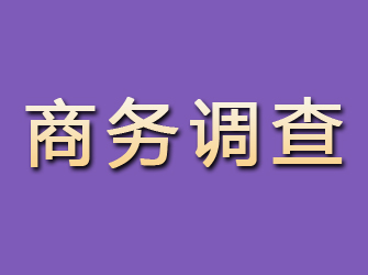 赤壁商务调查